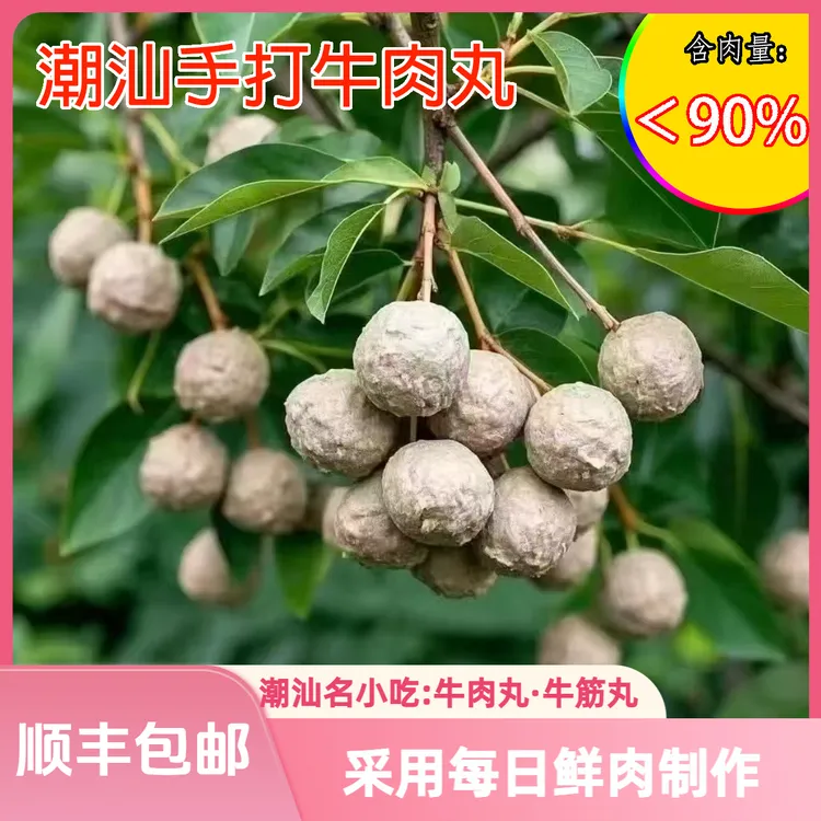 汕头特产正宗潮汕手工牛肉丸牛筋丸新鲜发货火锅烧烤食材顺丰包邮