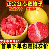 福建平和柚子当季新鲜现摘红心蜜柚老树头茬鲜果鲜嫩多汁