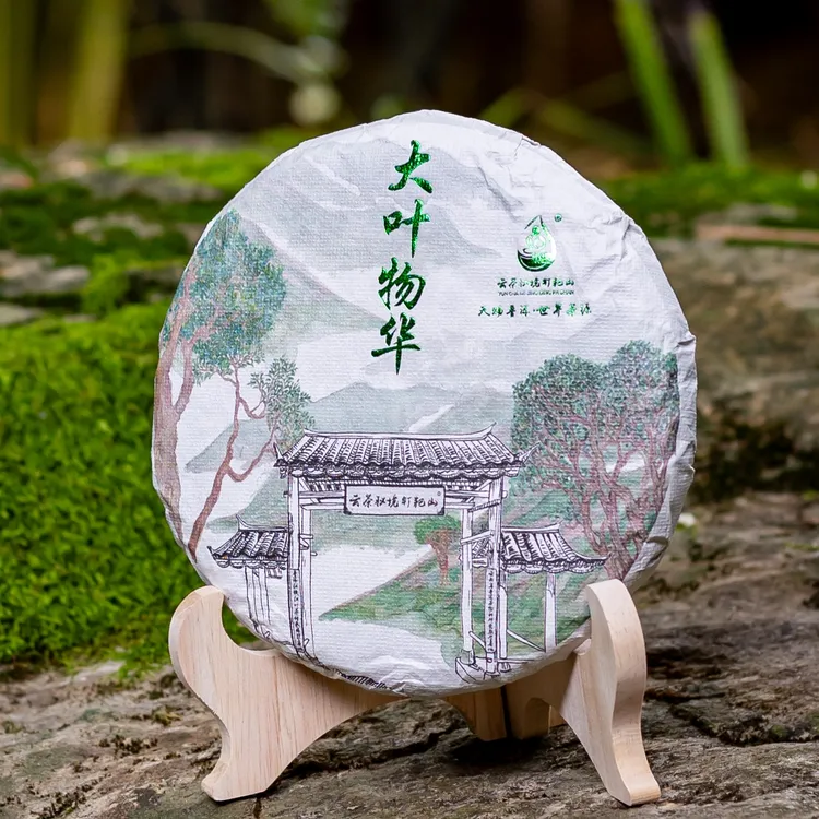 云茶秘境钉耙山大叶古树茶【物华】2025年