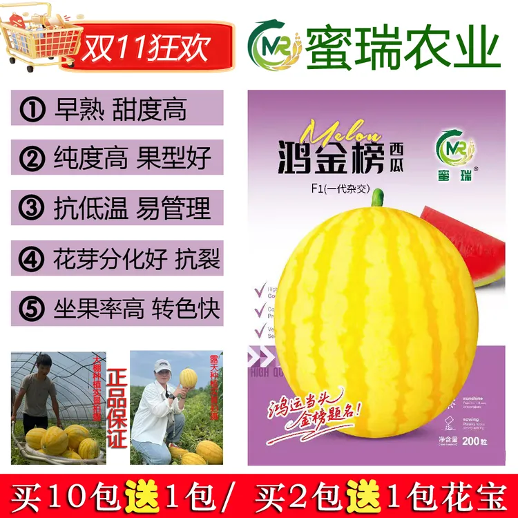 蜜瑞鸿金榜黄皮西瓜种子，黄皮红壤西瓜种子，鸿金榜西瓜种子200粒