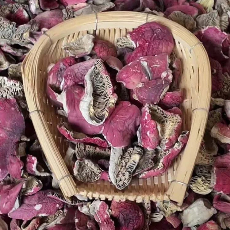 【碎片】碎菇2025年新菇正红菇云南干货红面蓝灰底月子菇 瑕疵菇