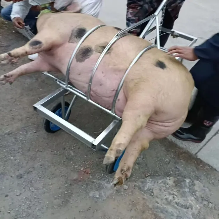 车专用工具移动尺寸屠宰设备车加固杀猪神器架子一个人杀猪架