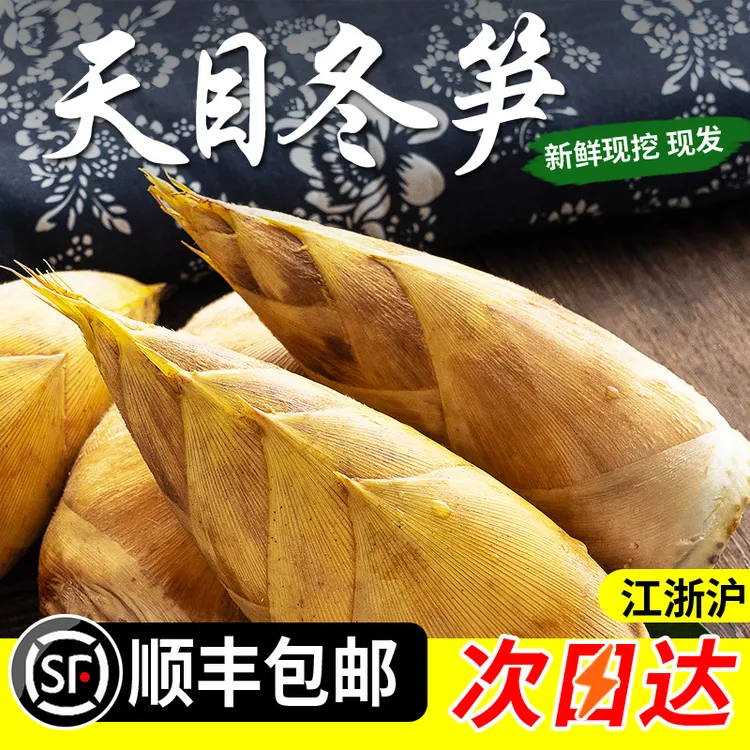精选临安发货天目冬笋新鲜现挖现发高山黄泥冬笋毛竹笋两头尖竹笋