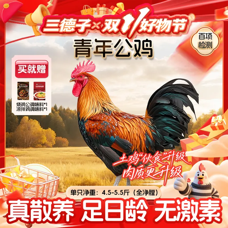 三德子【1只青年公鸡】山地散养200天吃肉炖汤生态鸡跑山鸡新鲜美味