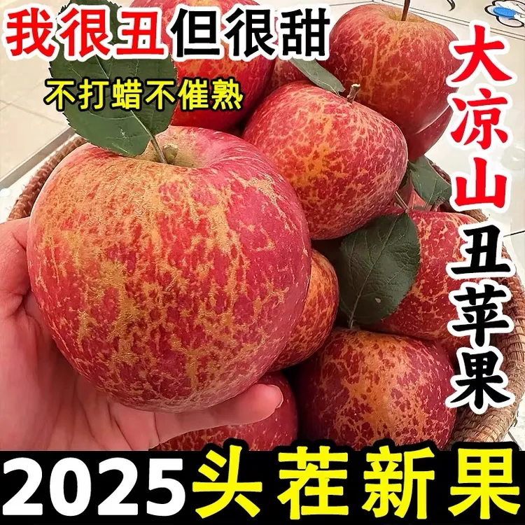 （大凉山产地直发）2025正宗大凉山冰糖心苹果当季新鲜水果脆甜多汁