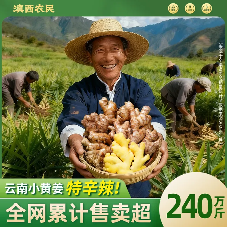 云南高山小黄姜老姜生姜新鲜现挖产地直发姜香味浓辛辣多汁蔬菜