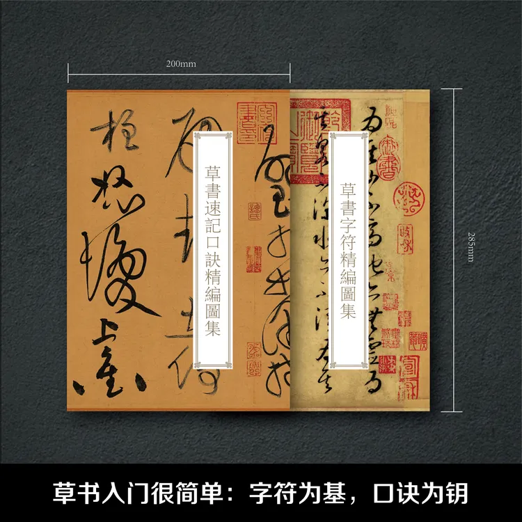 草书入门必备【速记口诀精编【字符精编】【草诀歌】【草决辨疑】练字帖