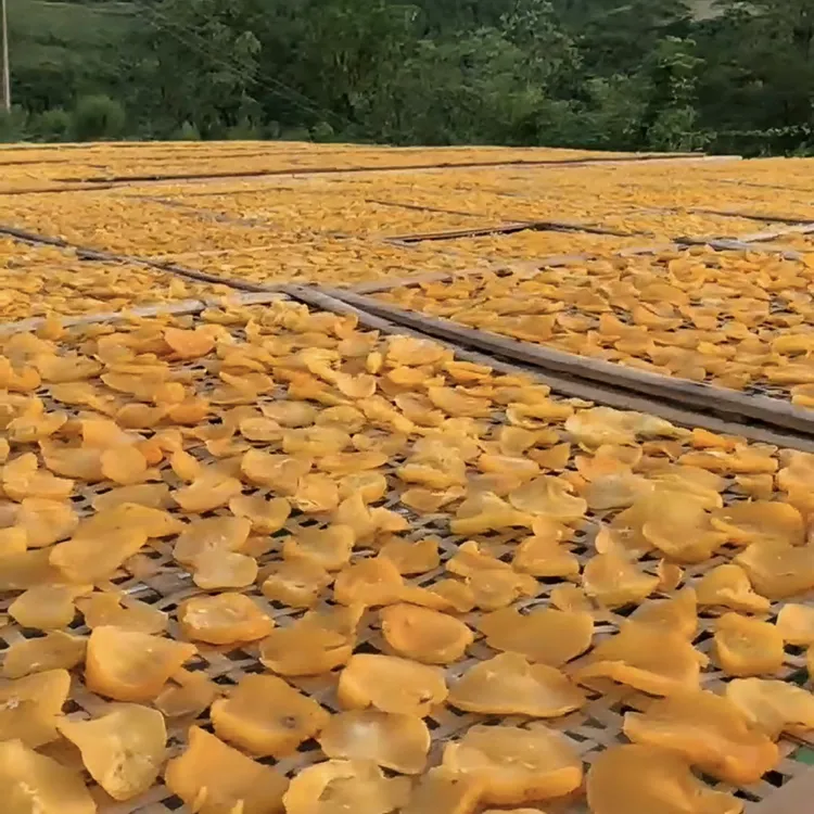 高山农村自产干土豆块