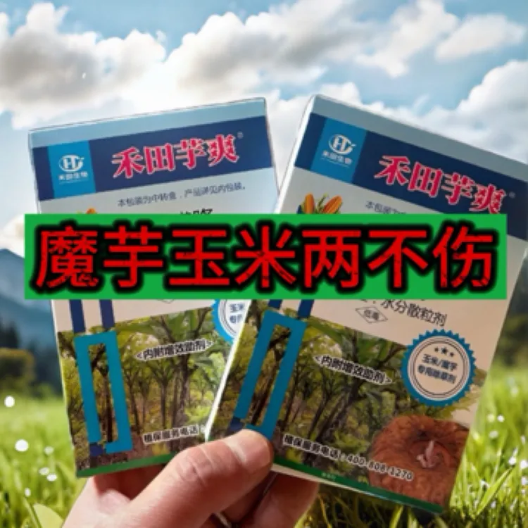 魔芋玉米套种地可以用、两不伤除草