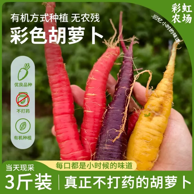 彩色水果胡萝卜彩虹紫色黄色红色奶油白色生态种植净重5斤