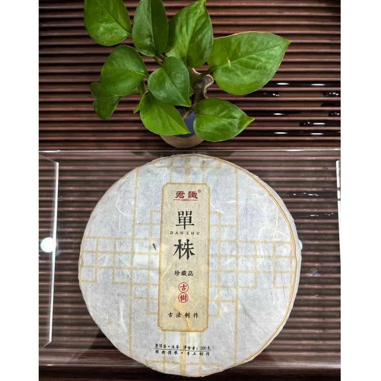 2024年古树单株200克