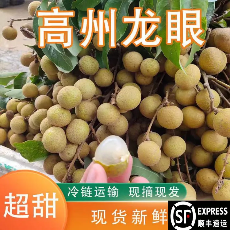 【顺丰包邮】现货龙眼新鲜水果广东高州石硖鲜果当季甜一整箱包邮