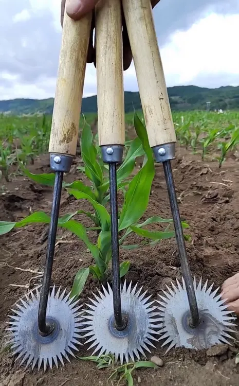 多功能跨境除草器长把锰钢锄头搂草耙子户外除草工具