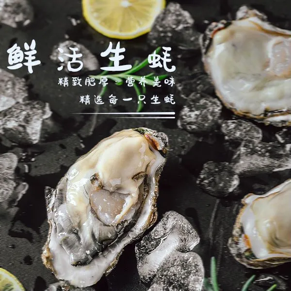 福建鲜活生蚝海蛎子非乳山 4 斤顺丰发货送吃蚝三件套