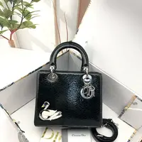 95新/包包/迪奥/250514SW0012