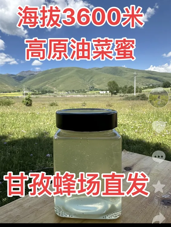 甘孜高原海拔3600米 油菜花蜜  波美度≥42.5 封盖蜜 蜂场直发 