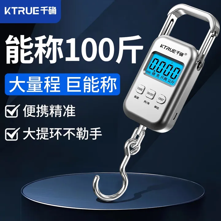 千确新款便携式手提电子秤精准家用小型高精度商品称重弹簧称鱼器