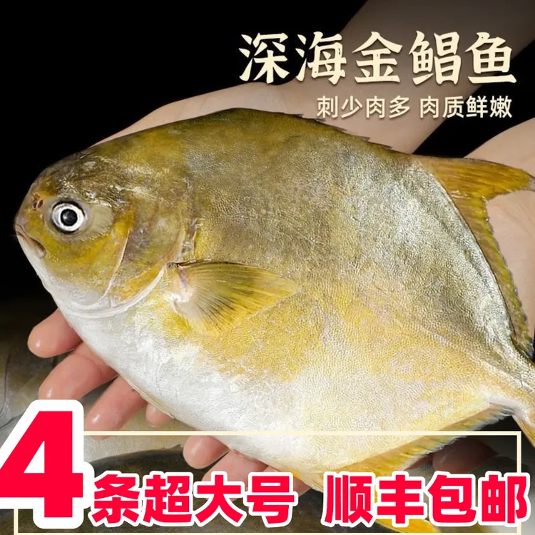 超大号深海金鲳鱼单条1.2-1.5斤 顺丰送货上门