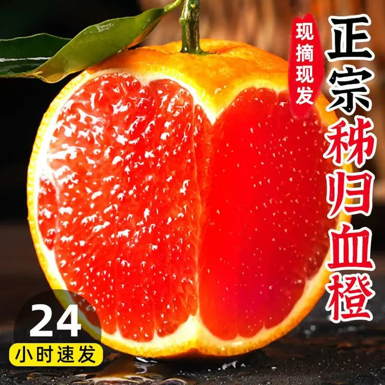 橙中贵族/中华红心肉血橙子新鲜水果当季3/5/9斤现摘秭归大甜脐橙