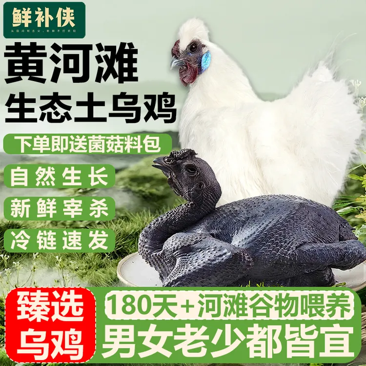 鲜补侠乌鸡新鲜现杀土鸡农家散养老母鸡公鸡活鸡整只正宗乌骨鸡肉