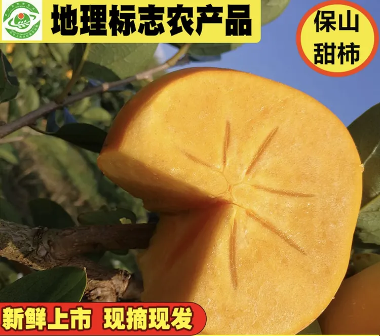 新鲜正宗的保山次郎甜脆柿