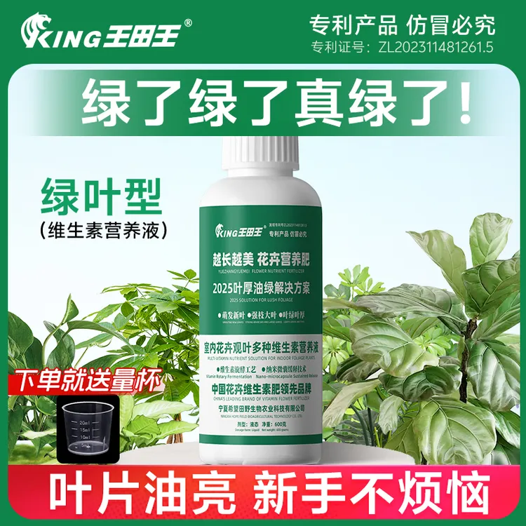 王田王室内植物盆栽精华专用促进光合光能绿叶素园艺维生素营养液