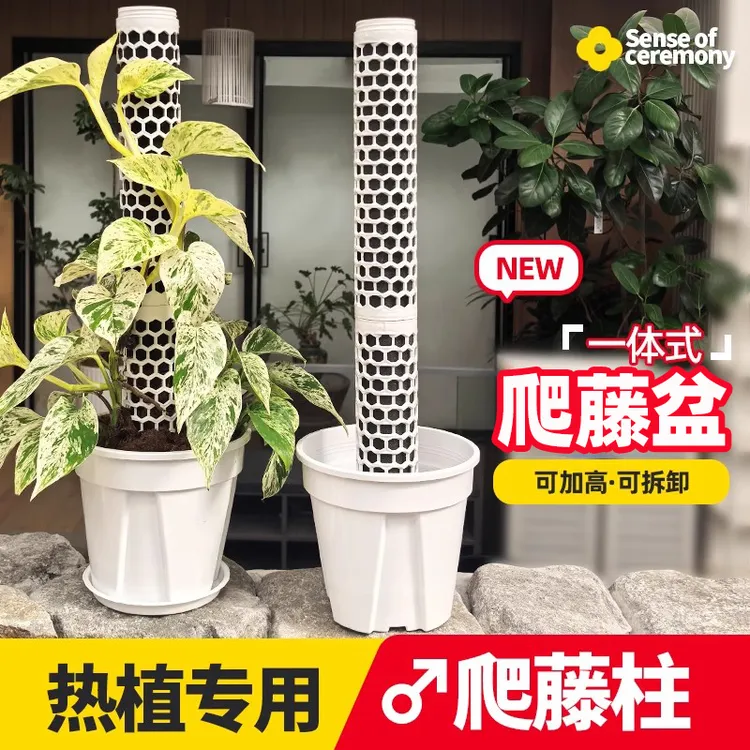 立柱支撑杆花盆树脂组合龟背竹热植白龟绿萝塑料植物攀爬柱水苔柱