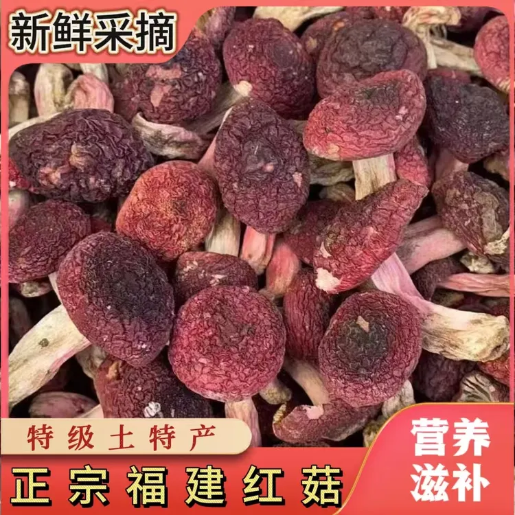 野生红菇小菇煲汤佳品营养美味月子滋补品