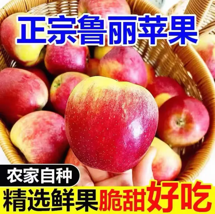 鲁丽小苹果脆甜多汁新鲜采摘现摘现发包邮坏果包赔
