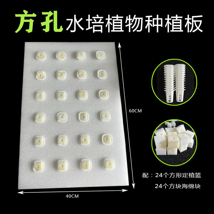 水培蔬菜定植板用于鱼塘鱼池无土栽培植物瓜果水面种植泡沫板