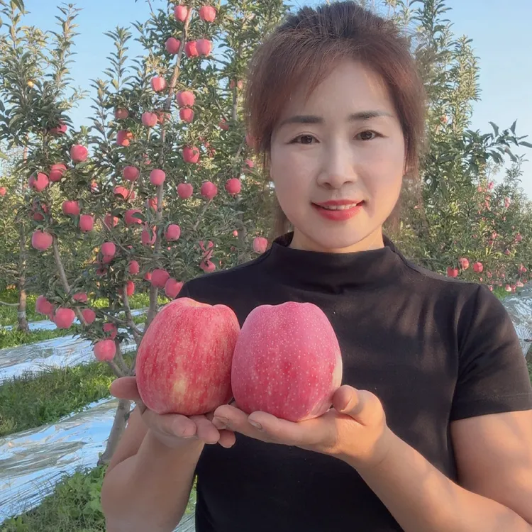 正宗甘肃庆阳果农自产（中秋王）口感硬脆.果味浓香.