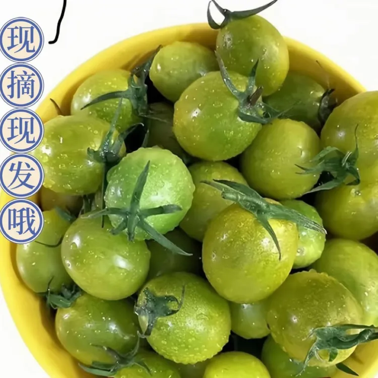 寿光直发高甜度青甜二号绿色圣女果小番茄酸甜爆汁