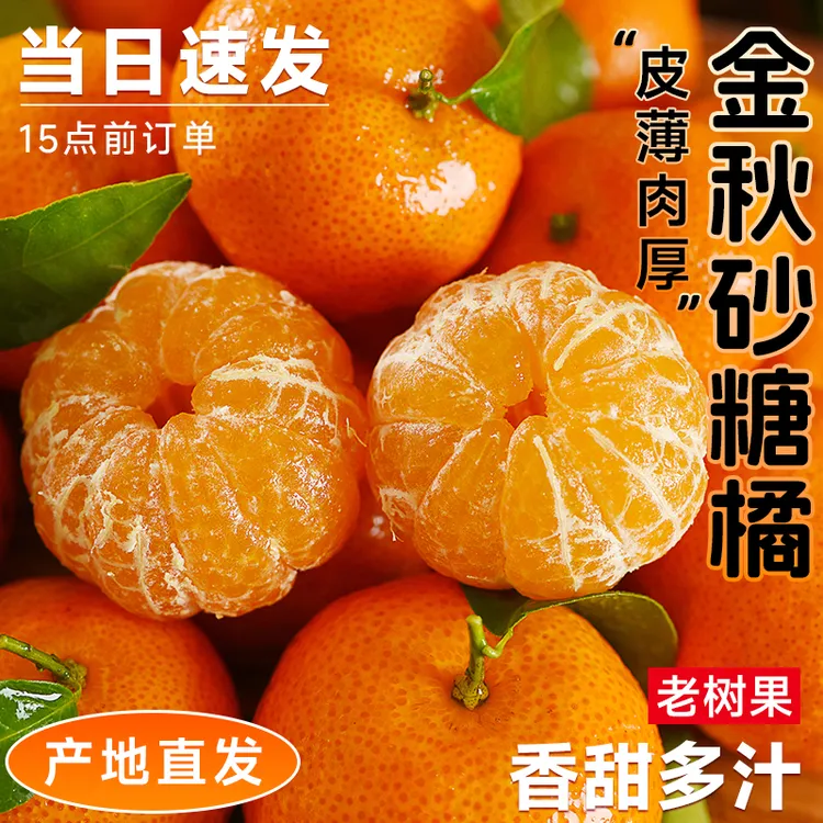 广西正宗砂糖橘桔当季新鲜现摘蜜桔金秋砂糖桔橘子整箱爆甜多汁
