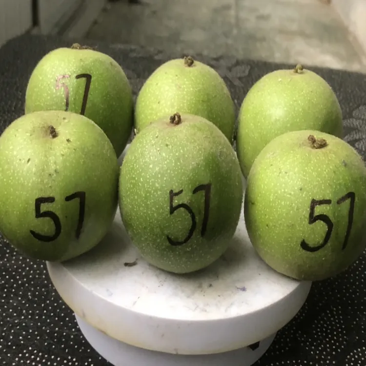 【开青皮】麻核桃老树盘山三棱青皮 数量：6颗 尺寸：57㎜