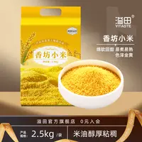 东北黄小米农家小黄米优质香坊小米2024当季新米五谷杂粮厚米油
