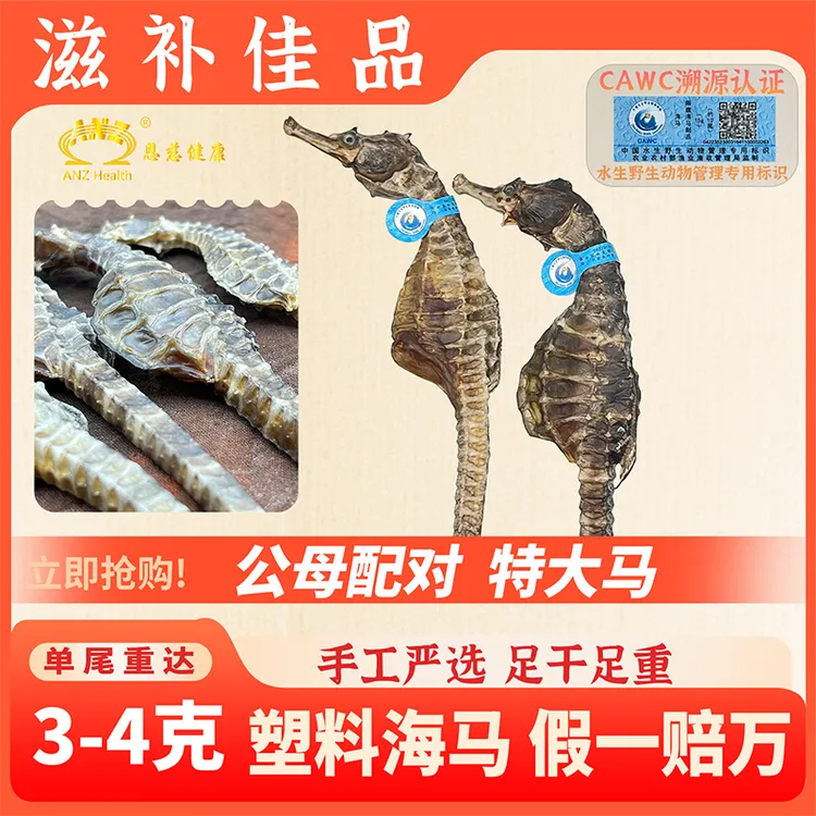 【特大马3-4克/条】正品生晒足干带溯源码海马干货煲汤泡酒专用