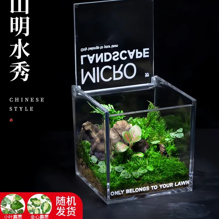 亚克力生态苔藓微景观桌面植物摆件办公室苔藓摆件 青苔生态瓶01