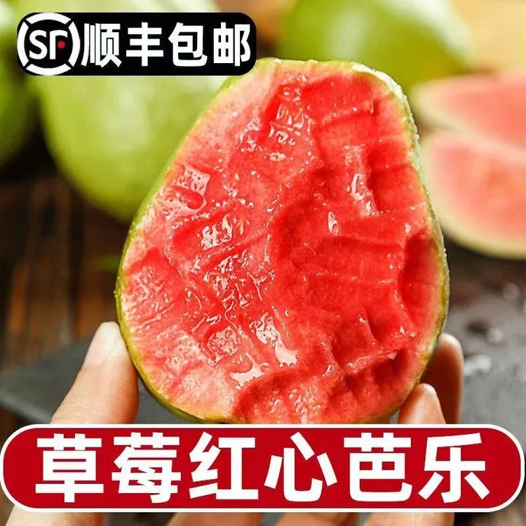 【顺丰/EMS空运】精选广西红心芭乐番石榴新鲜现摘当季水果3斤/5斤