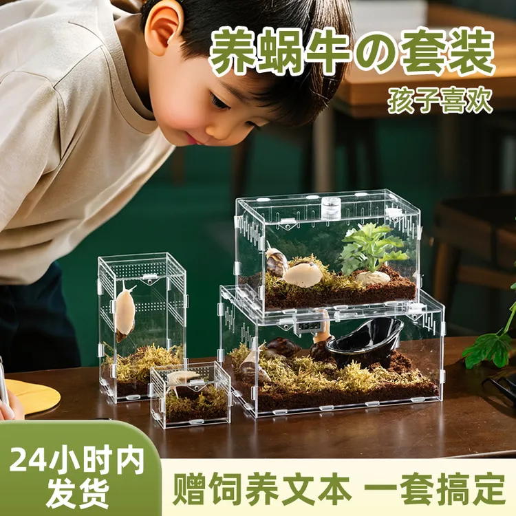 宠物白玉蜗牛专用饲养盒套装亚克力大号学生养殖观赏盒