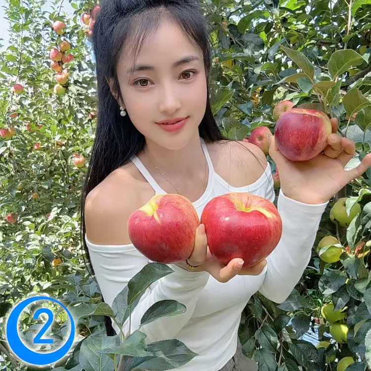 云南昭通高山红露苹果新鲜现摘冰糖心丑苹果脆甜多汁【二妹推荐】