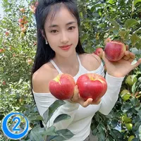 云南昭通高山红露丑苹果新鲜现摘冰糖心脆甜多汁水果