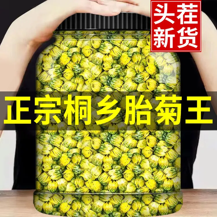 【抢500克】胎菊凉茶花茶干茶正品搭配金银花小胎菊桐乡胎菊