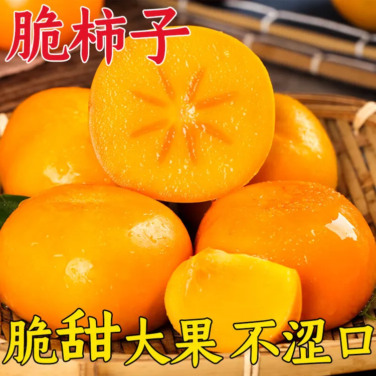 广西恭城真空包装脆柿新鲜采摘清甜可口脆甜不涩的应季水果