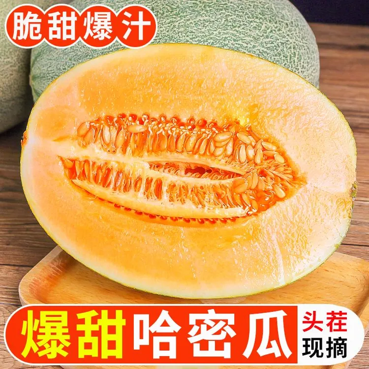 正宗哈密瓜新鲜一箱水果当季整箱包邮现季网纹瓜香甜蜜瓜甜瓜应季