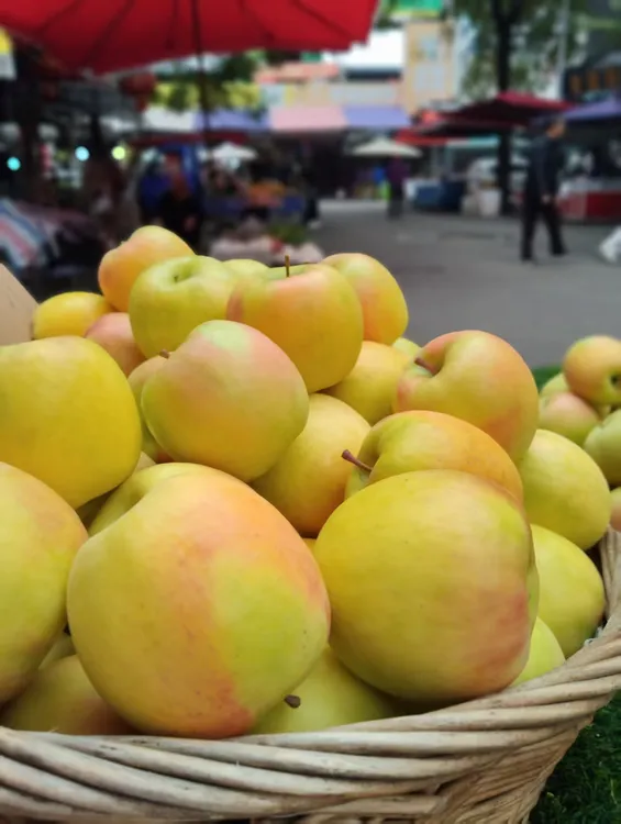 阿坝茂县瑞雪苹果
