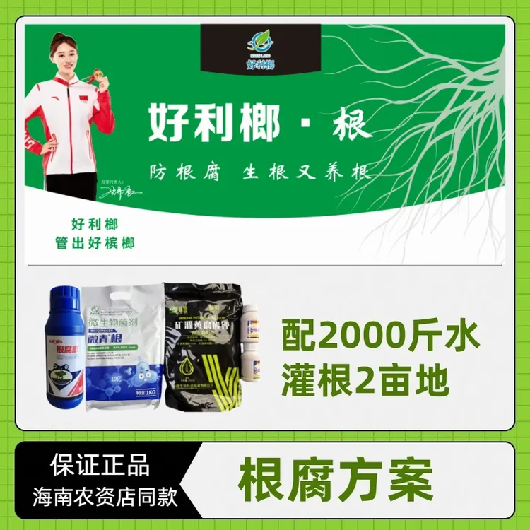 好利榔根腐方案微生物菌剂根系腐烂组合方案