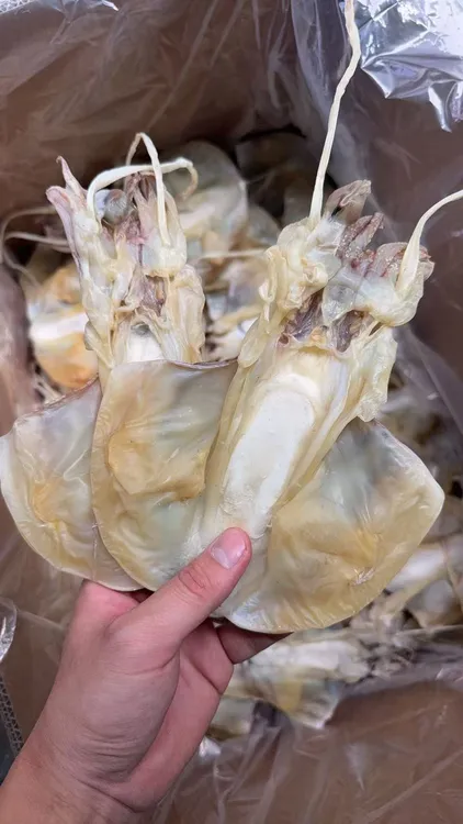 淡盐本港墨鱼   中号淡盐墨鱼 海味产品农产品