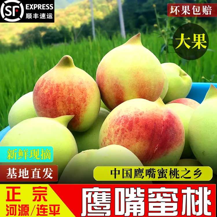 上坪印象广东河源连平鹰嘴桃当季新鲜脆甜水蜜桃子整箱