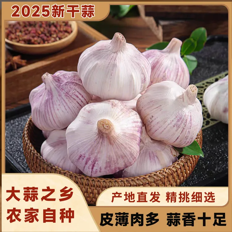 蒜家用大蒜 烹饪神器