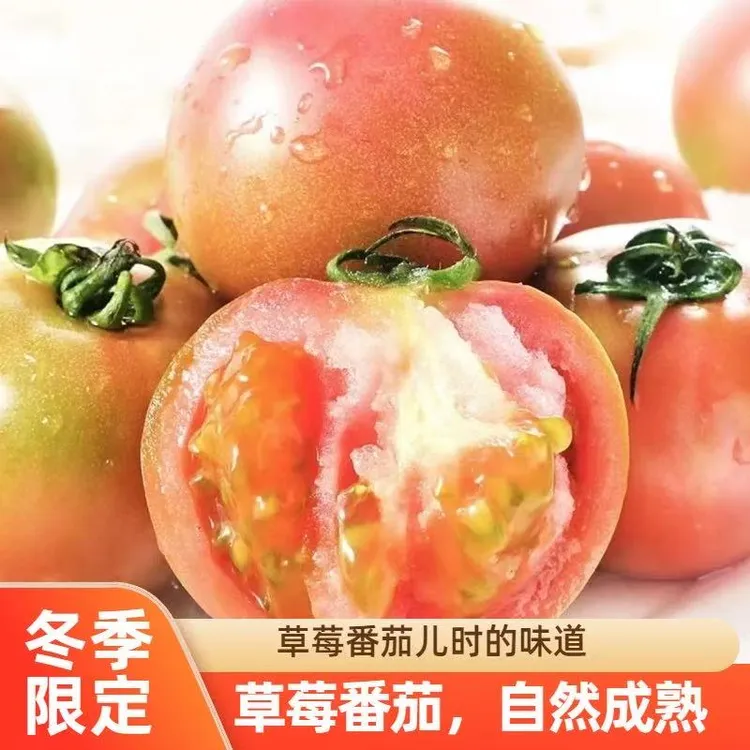 顺丰包邮草莓番茄西红柿儿时味道现摘应季可生吃酸甜可口